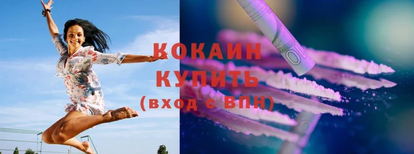 соль ск Алзамай