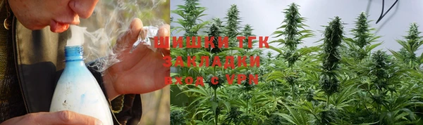 соль ск Алзамай