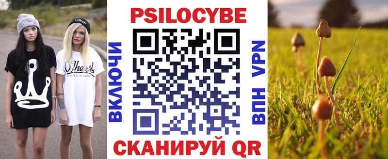 площадка состав  Канск  Галлюциногенные грибы MAGIC MUSHROOMS 
